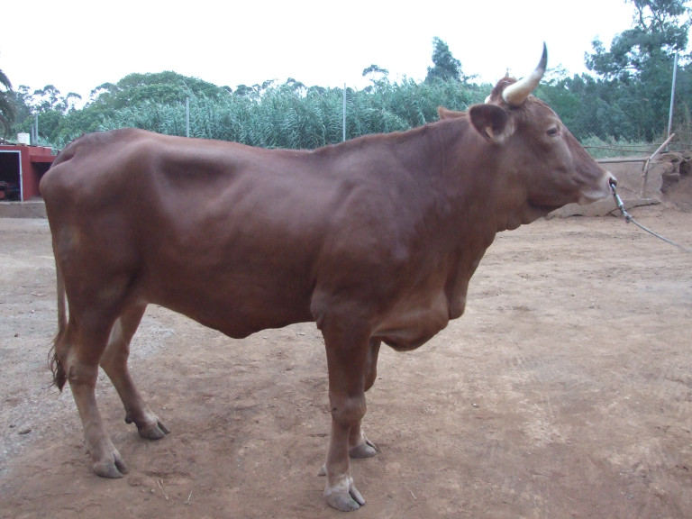 Galeria_01 Galeria 01