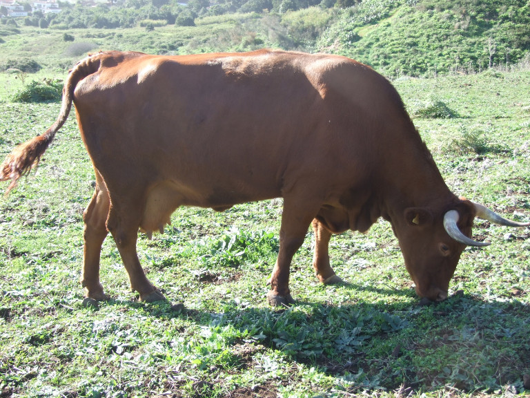 Galeria_02 Galeria 02