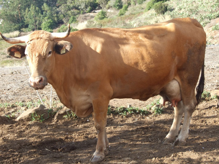 Galeria_07 Galeria 07