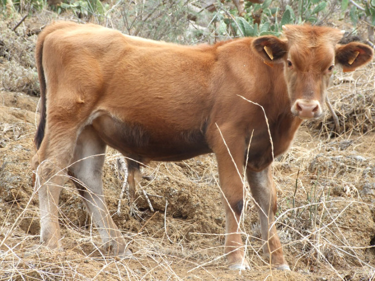 Galeria_08 Galeria 08