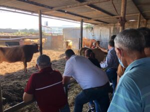 IMG 20211016 WA0023 1