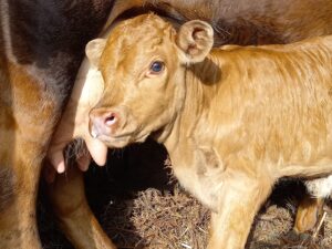 3f3af7e4 ce98 47e8 976a eaa45ea1f1dd