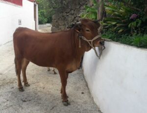 48a130b3 c412 4cde b454 cfe049b71d12