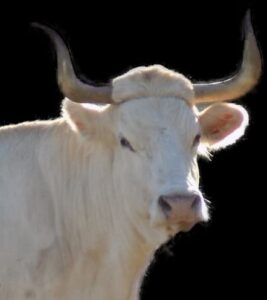 7311978f 8d99 4c80 abd2 4fda1d254432